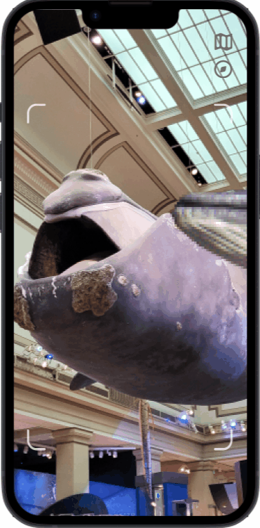 phone whale gif